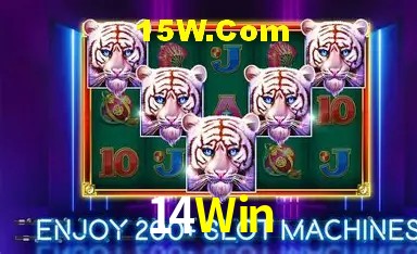 Experiência VIP 14Win