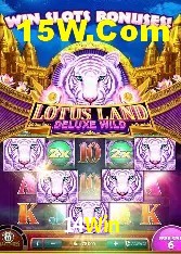 Mesa de Blackjack 14Win